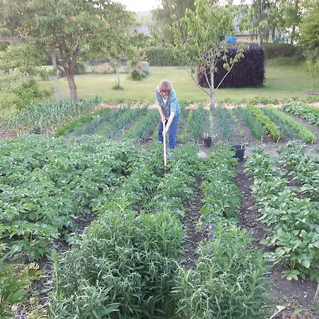 Lägenhet Fattiggård Gamby