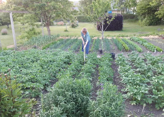 アパート Fattiggard Gamby